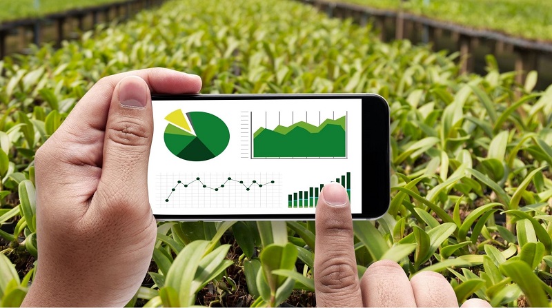 Digitalização da agricultura abre oportunidades para o marketing digital.